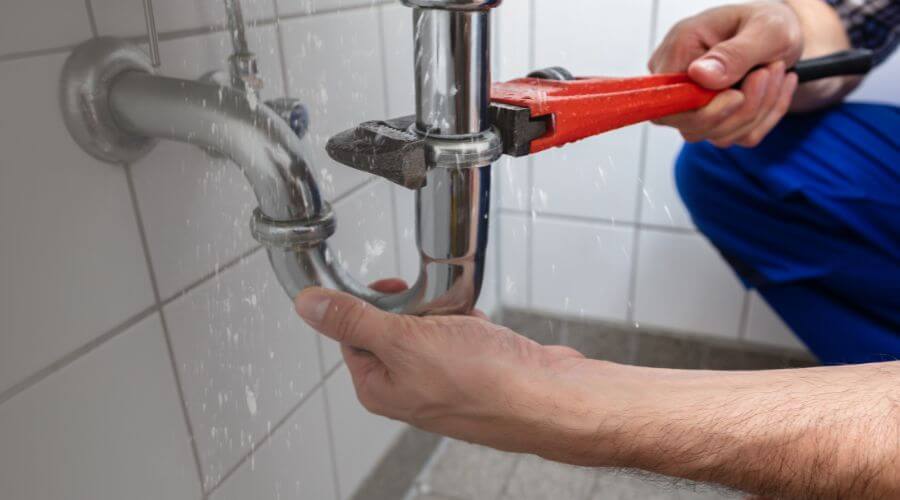 Thermal Imaging Leak Detection in Arcadia, MI